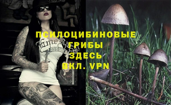 мет Абаза
