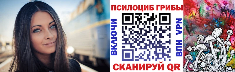 Псилоцибиновые грибы мицелий Ядрин